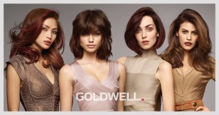 THE ICONIC BRUNETTE COLLECTION